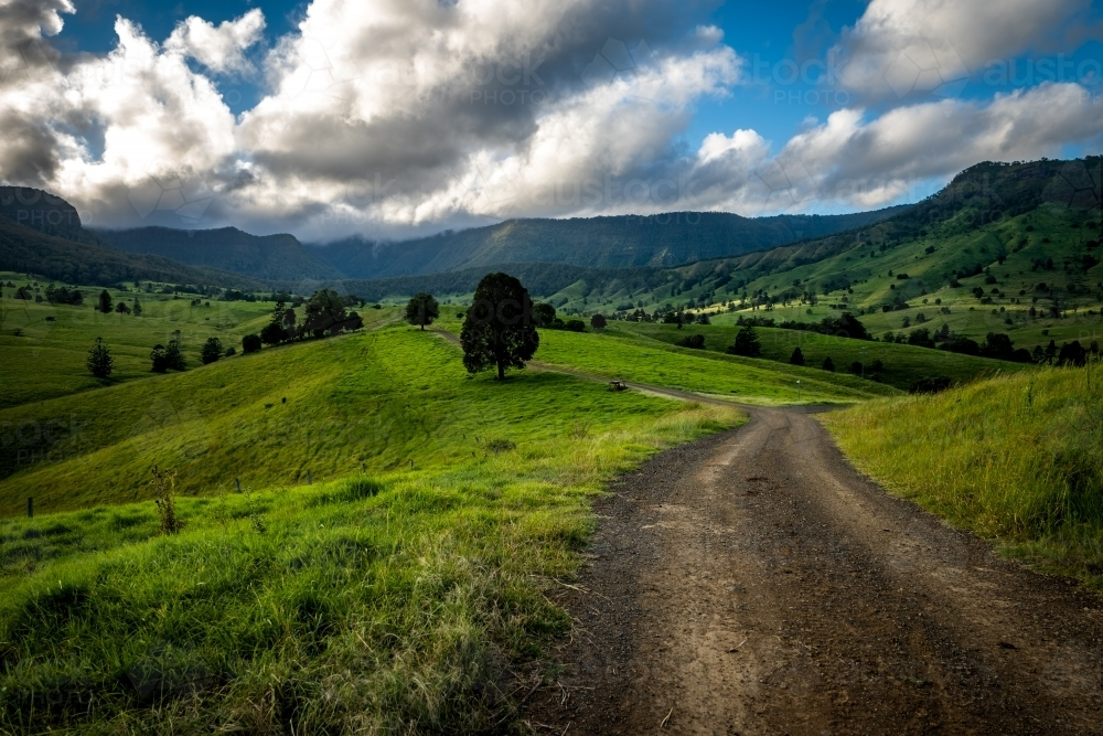 Dirt road winding through a grassy paddock - Australian Stock Image