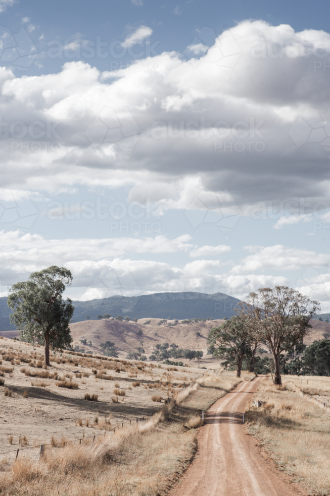 Dirt track winding through summer paddocks - Australian Stock Image