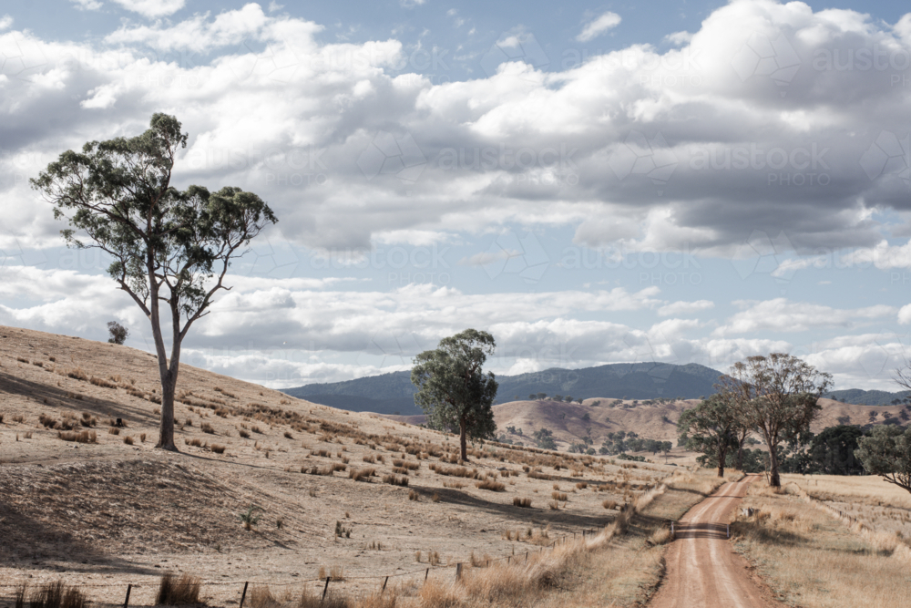 Dirt track with dry paddocks, rolling hills and blue sky with clouds - Australian Stock Image