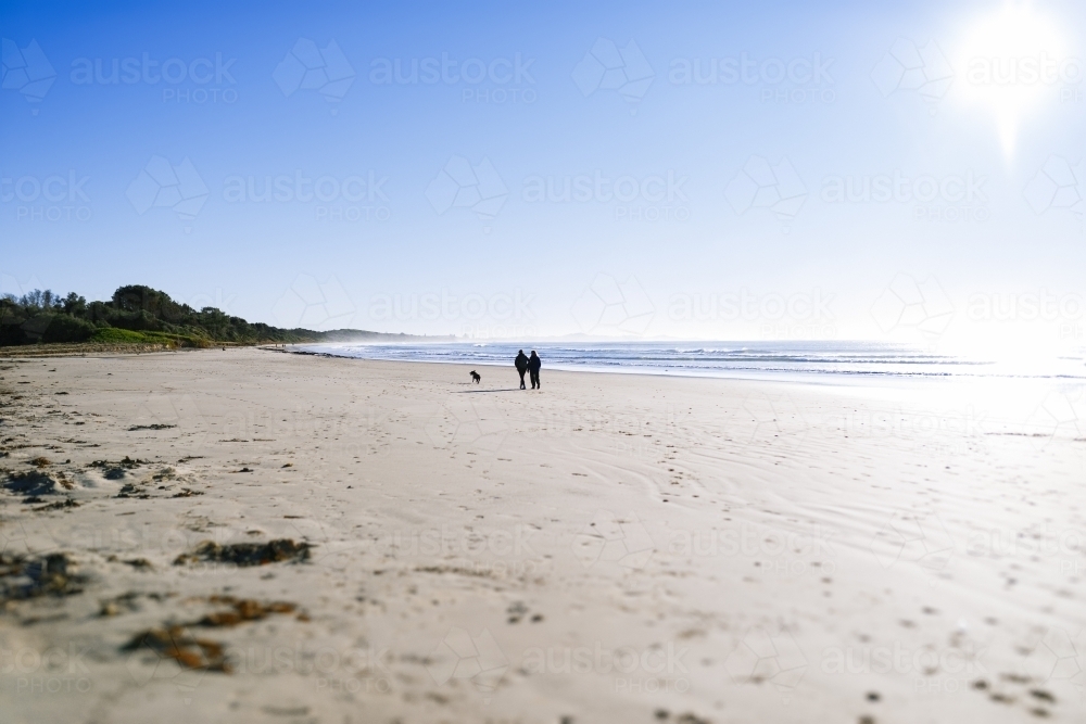 Distant couple walking on beach with dog - Australian Stock Image
