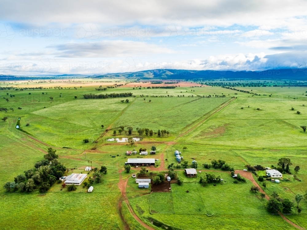Distant homestead and other farm buildings in green home paddock - Australian Stock Image