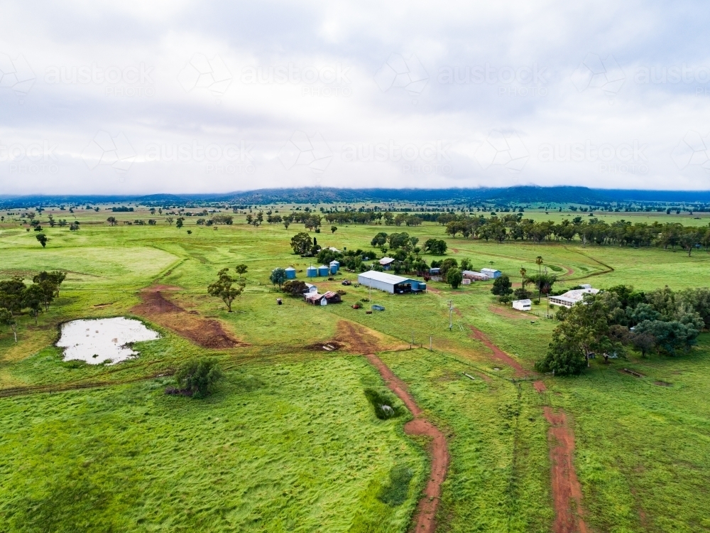 Distant homestead and other farm buildings in green home paddock - Australian Stock Image