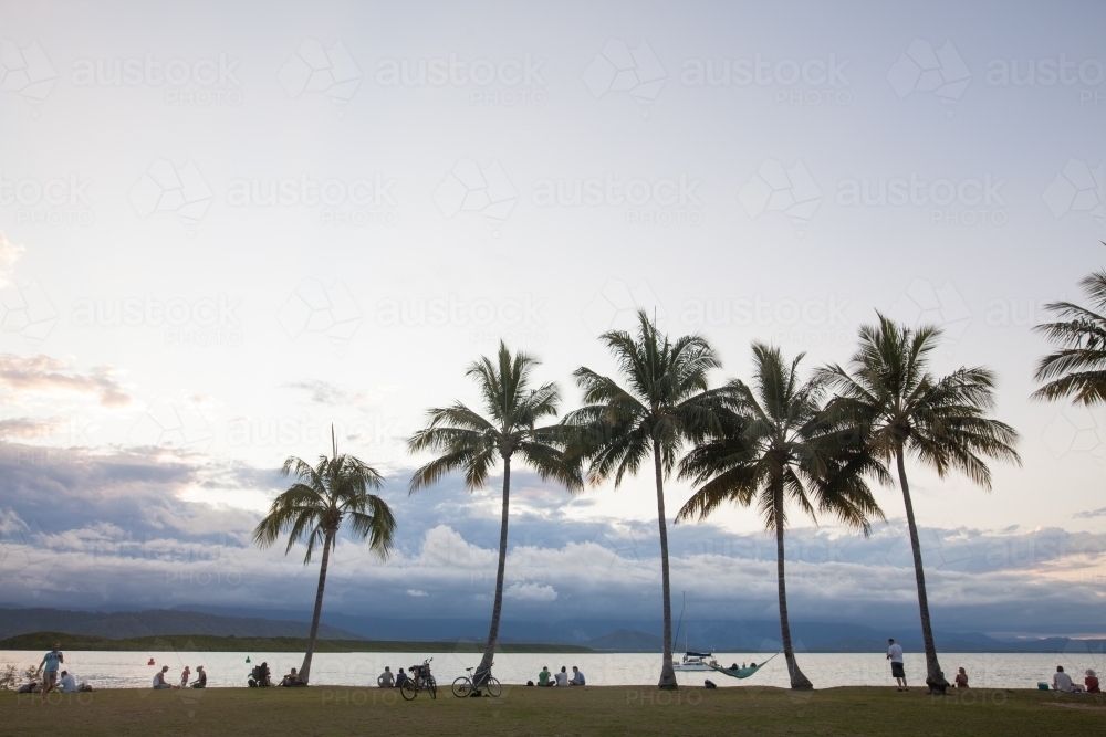 Distant palm trees and people relaxing by the coast at sunset hour - Australian Stock Image