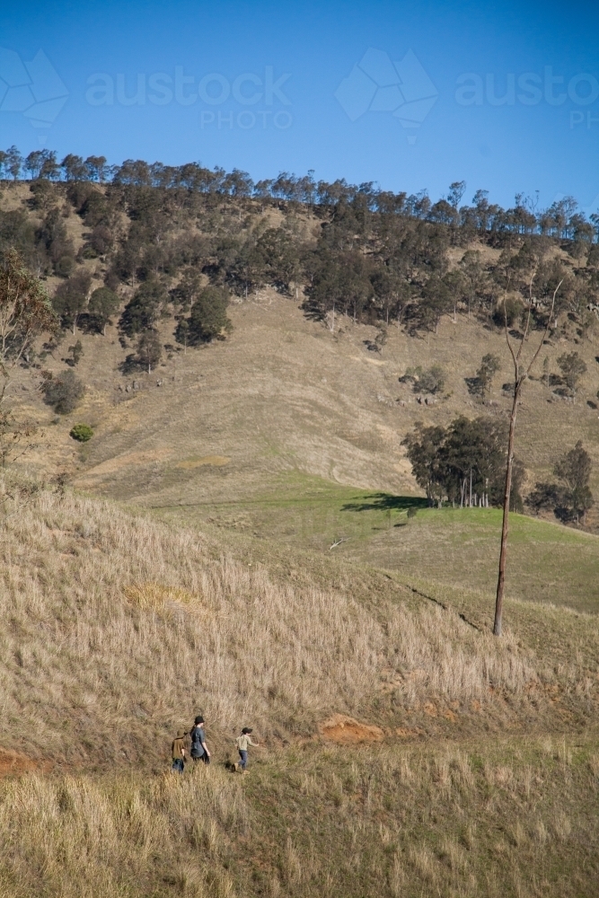 Distant people walking along hill in paddock - Australian Stock Image