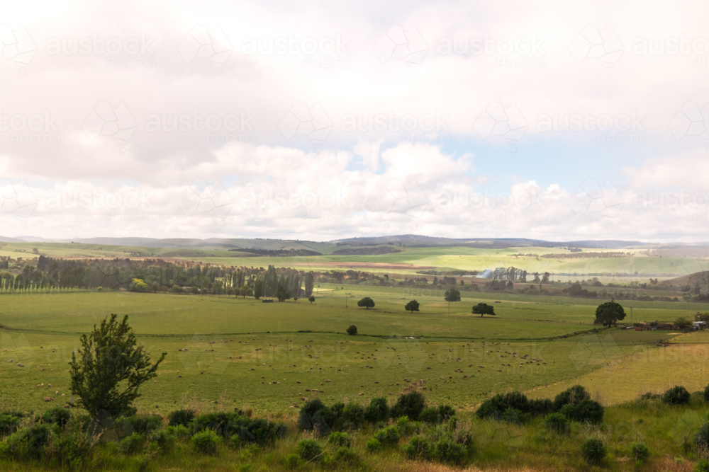 Distant view over open green farming fields - Australian Stock Image