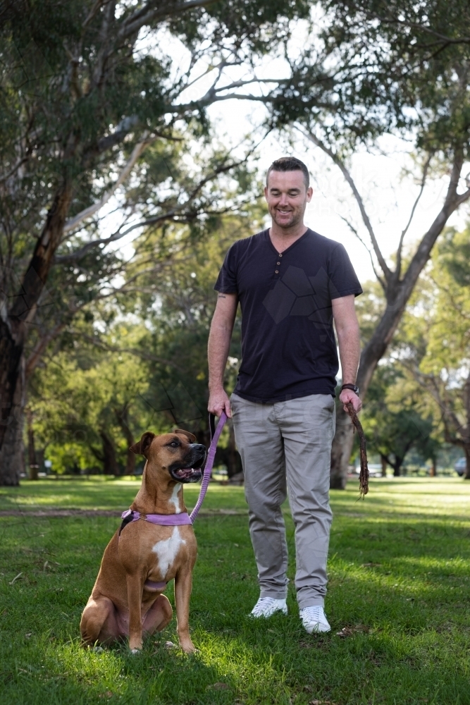 Dog and man looking at each other during walk in the park - Australian Stock Image