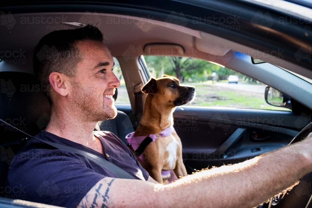 Dog and Smiling Man sitting in Silver Car - Australian Stock Image
