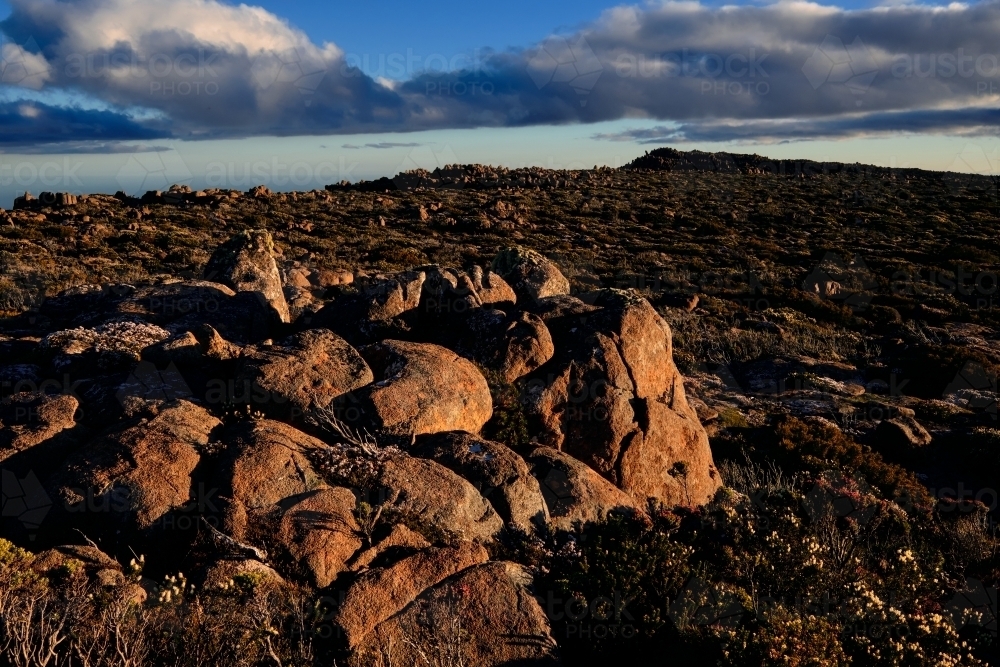 Dolerite Rocks atop Mount Wellington - Australian Stock Image