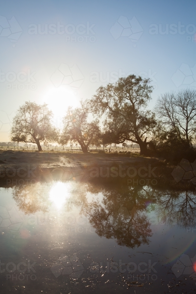 Double sunrise reflected in a farm dam - Australian Stock Image