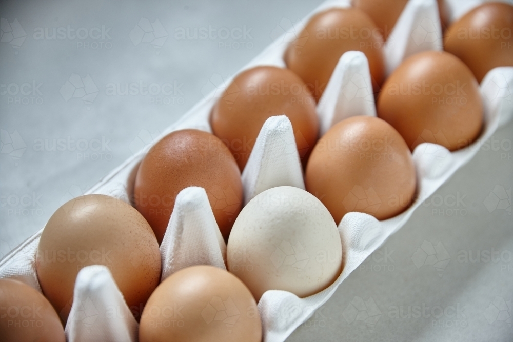 Dozen eggs in paper carton - Australian Stock Image