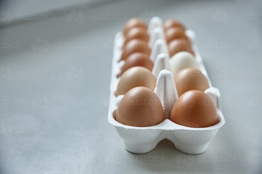 Dozen eggs in paper carton - Australian Stock Image