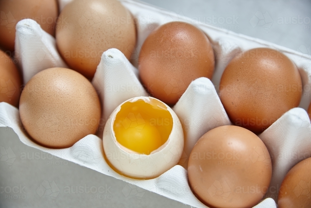 Dozen eggs in paper carton - Australian Stock Image