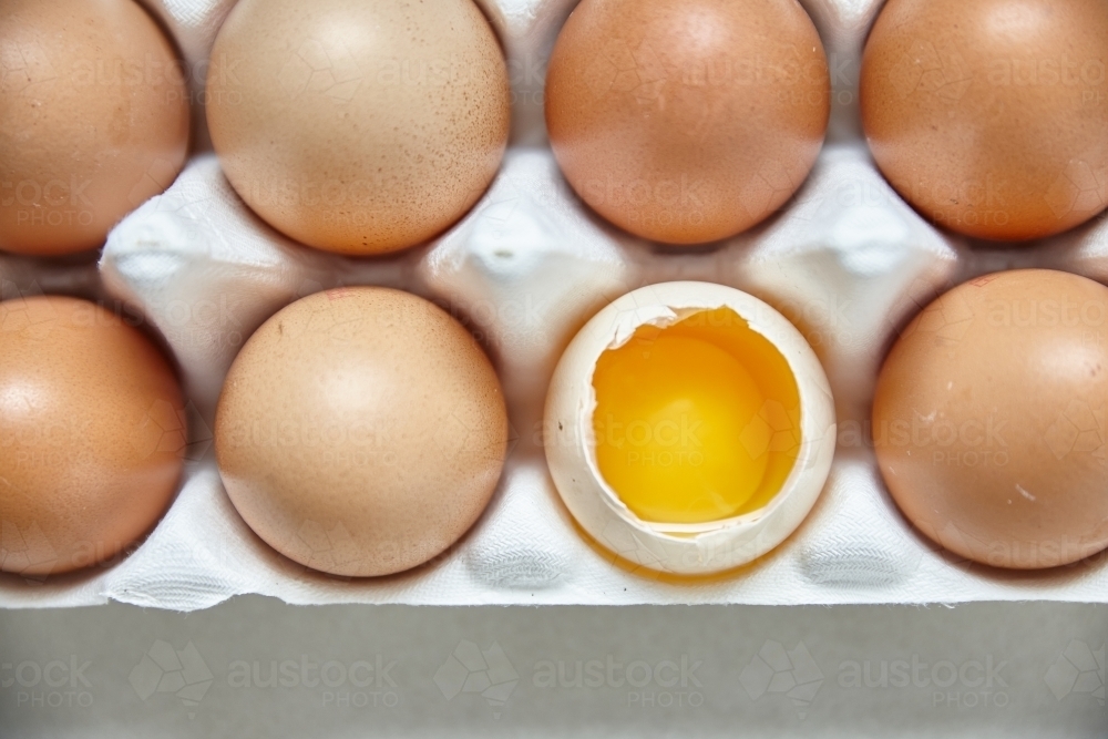 Dozen eggs in paper carton - Australian Stock Image