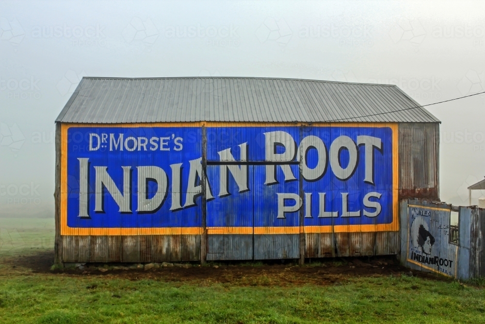 Dr Morse's Indian Root Pills sign on old shed - Australian Stock Image