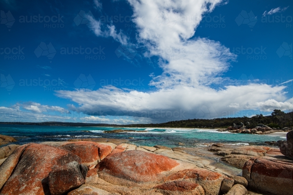 Dramatic cloud formation towers over a rugged coastal scene with orange lichen covered rocks. - Australian Stock Image