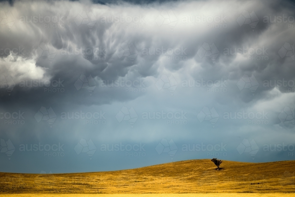 Dramatic mammatus clouds build over drying farmland - Australian Stock Image