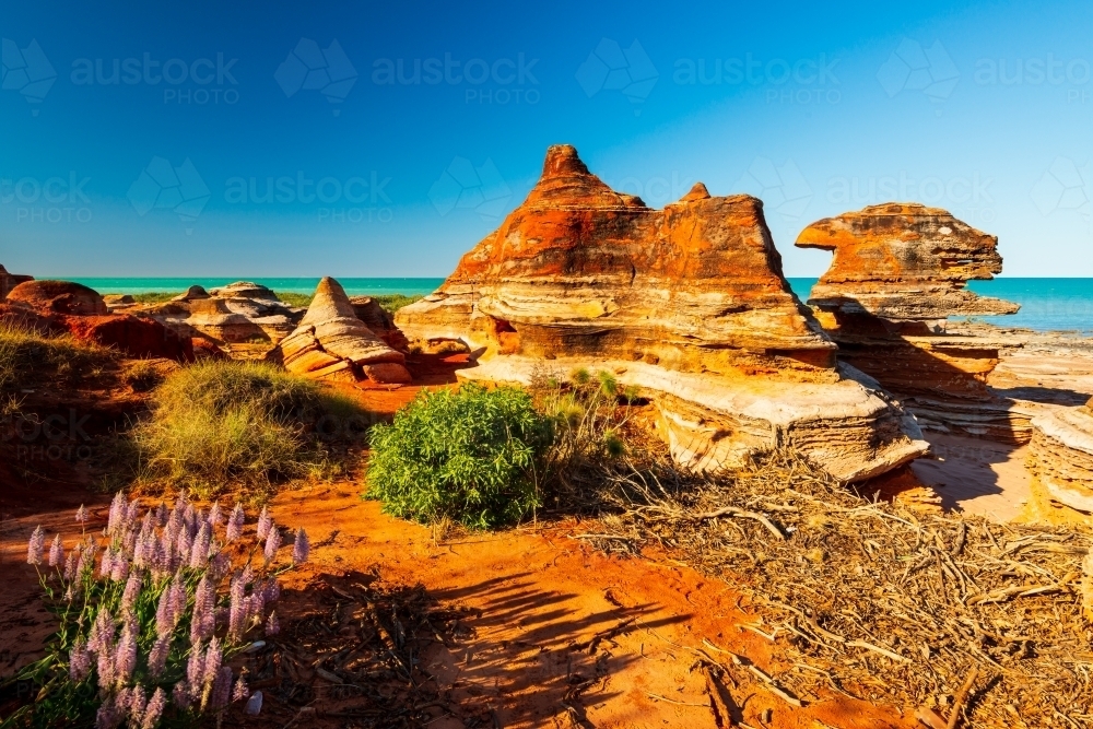 Dramatic orange rock formations with wild flowers in foreground and beautiful turquoise water - Australian Stock Image