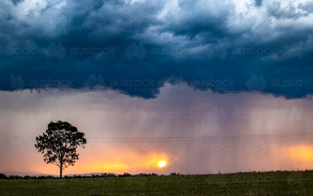 Dramatic summer storm Clouds above tree - Australian Stock Image