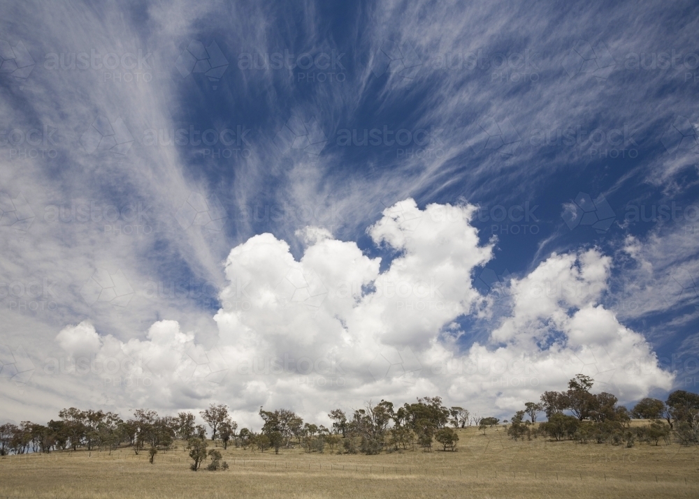 Dramatic white clouds against blue sky above dry paddock with trees - Australian Stock Image