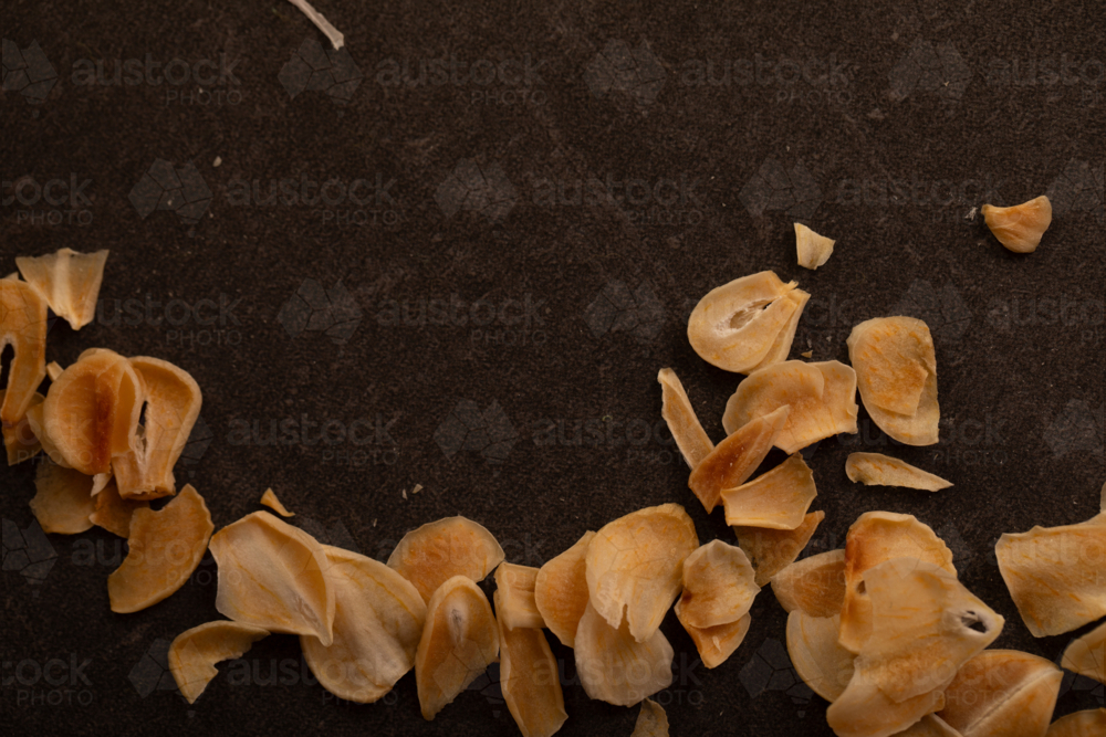 Dried Garlic Slices on Dark Background - Australian Stock Image