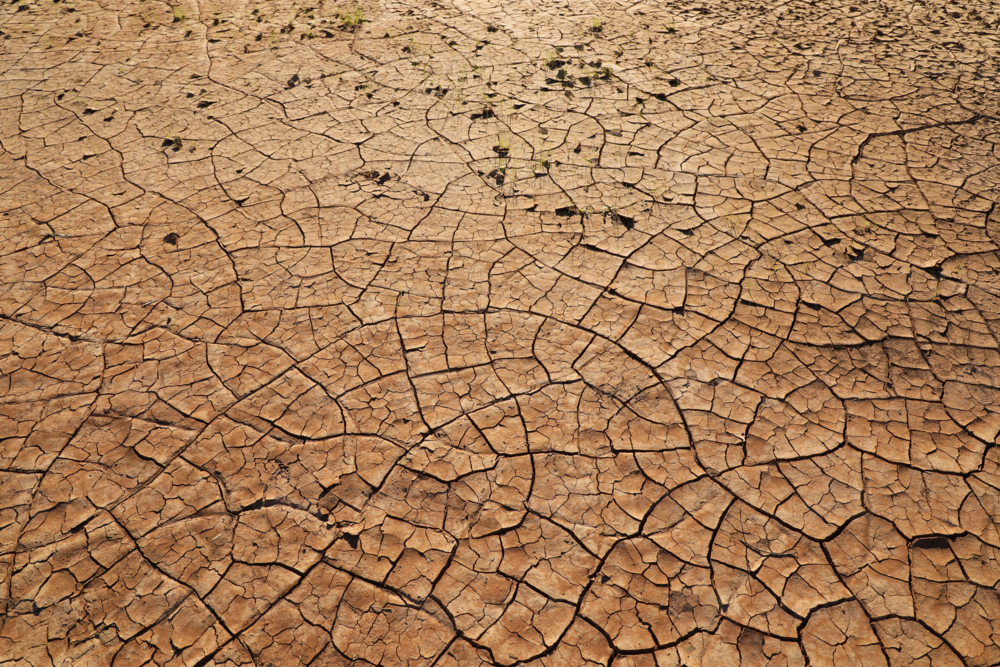 Dried mud cracking - Australian Stock Image
