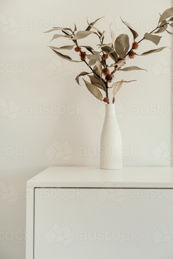 Dried natives in a vase. - Australian Stock Image