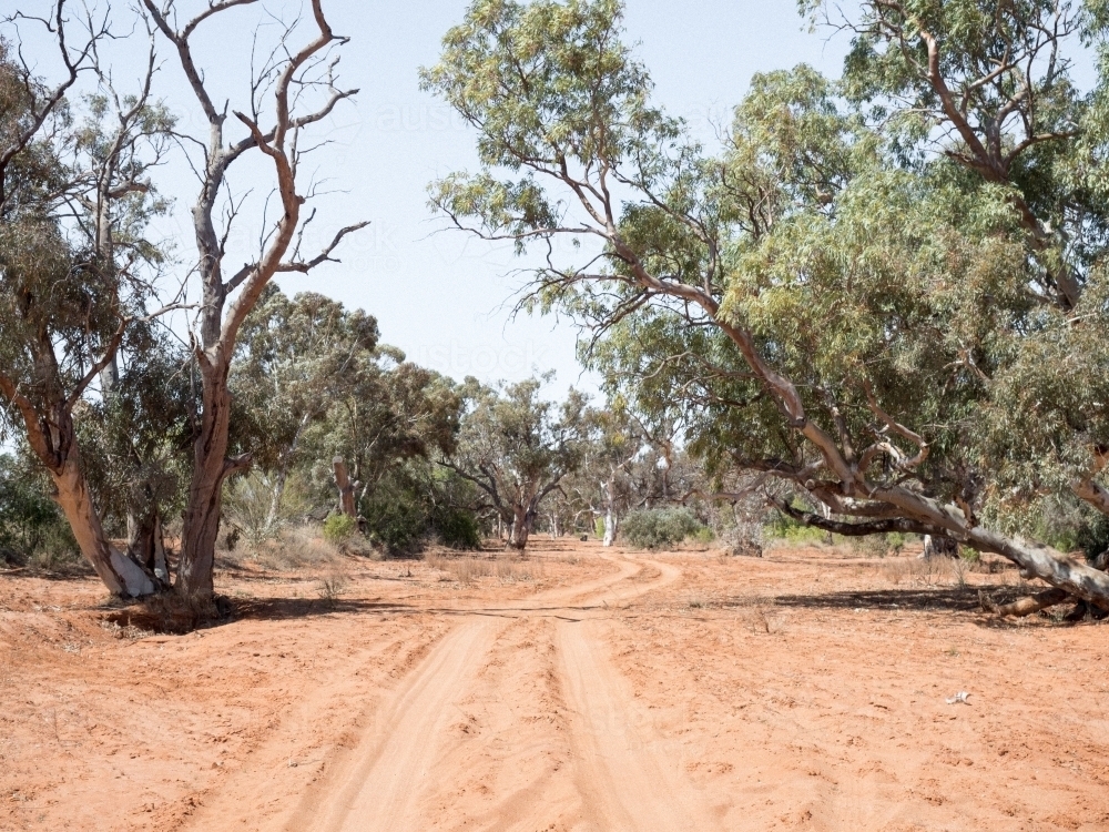 Dried Out Riverbed - Australian Stock Image