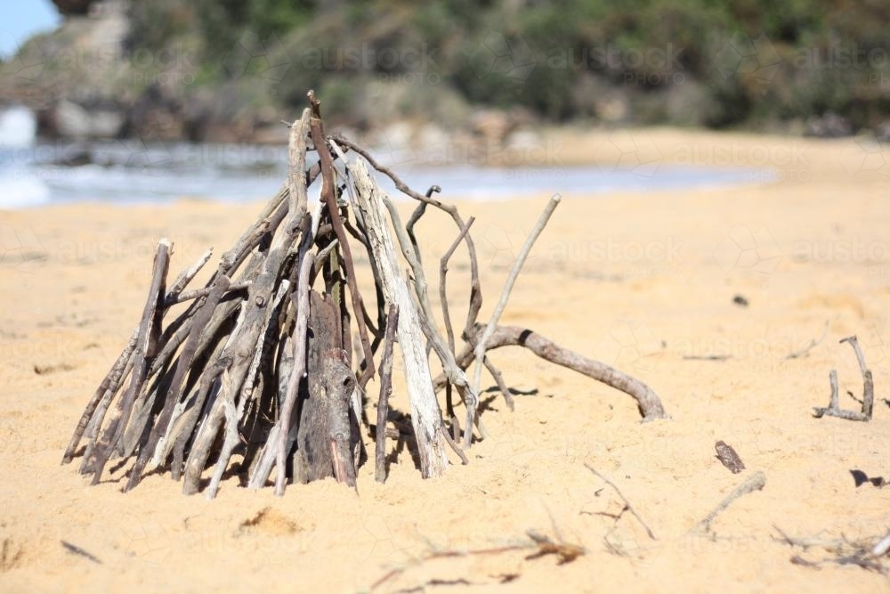 Driftwood display at the beach - Australian Stock Image