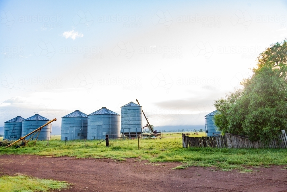 Driveway and silos farm scenery in morning light - Australian Stock Image