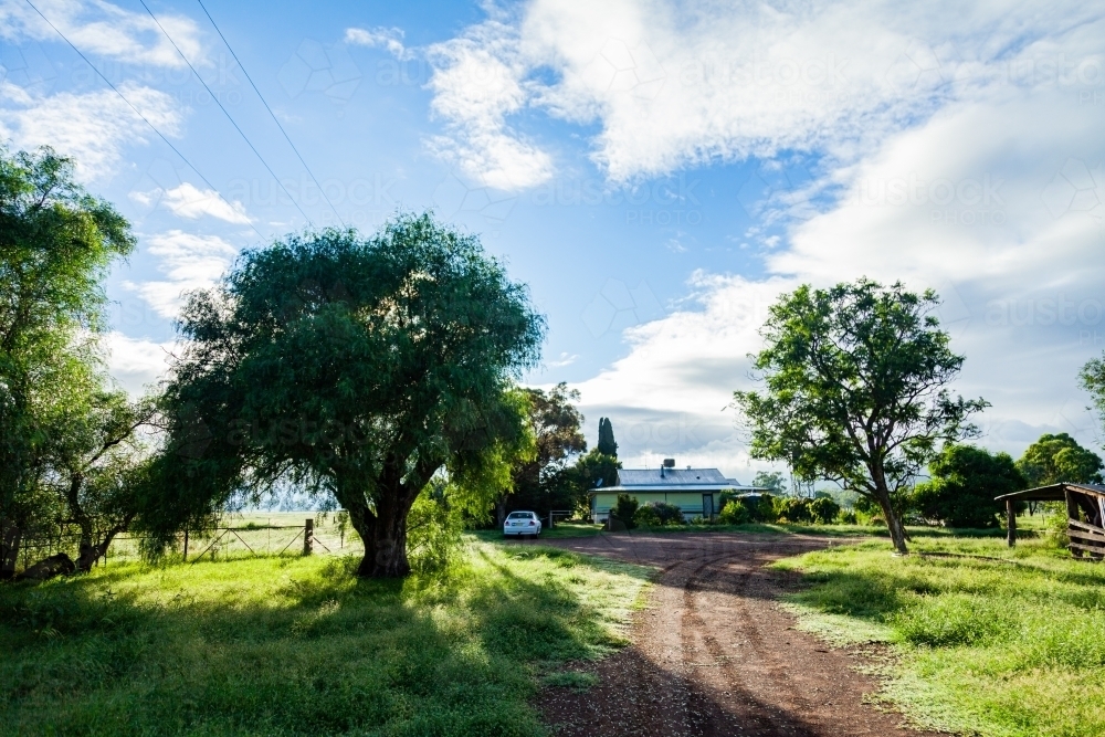 Driveway to farm house - Australian Stock Image