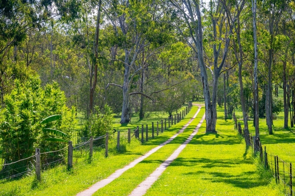 Driveway to house with vibrant green grass and wooden fence and house number - Australian Stock Image