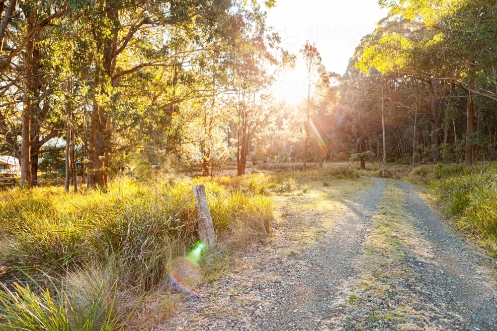 Driveway to rural property in a forest - Australian Stock Image