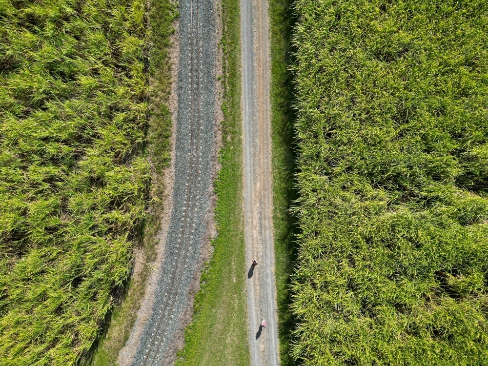 Drone Image of sugar cane farm road and rail route - Australian Stock Image