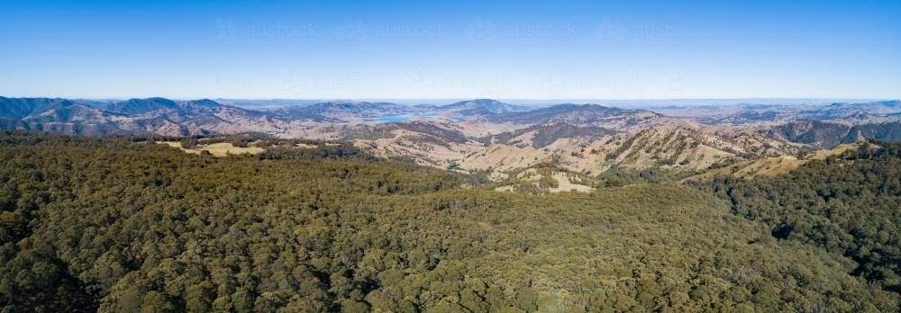 Drone image of treetops and distant hills - Australian Stock Image