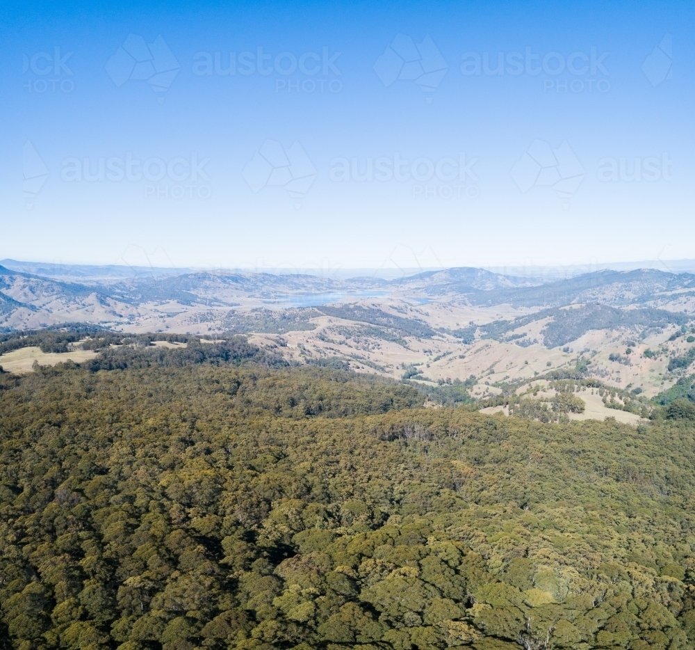 Drone image of treetops and distant hills - Australian Stock Image