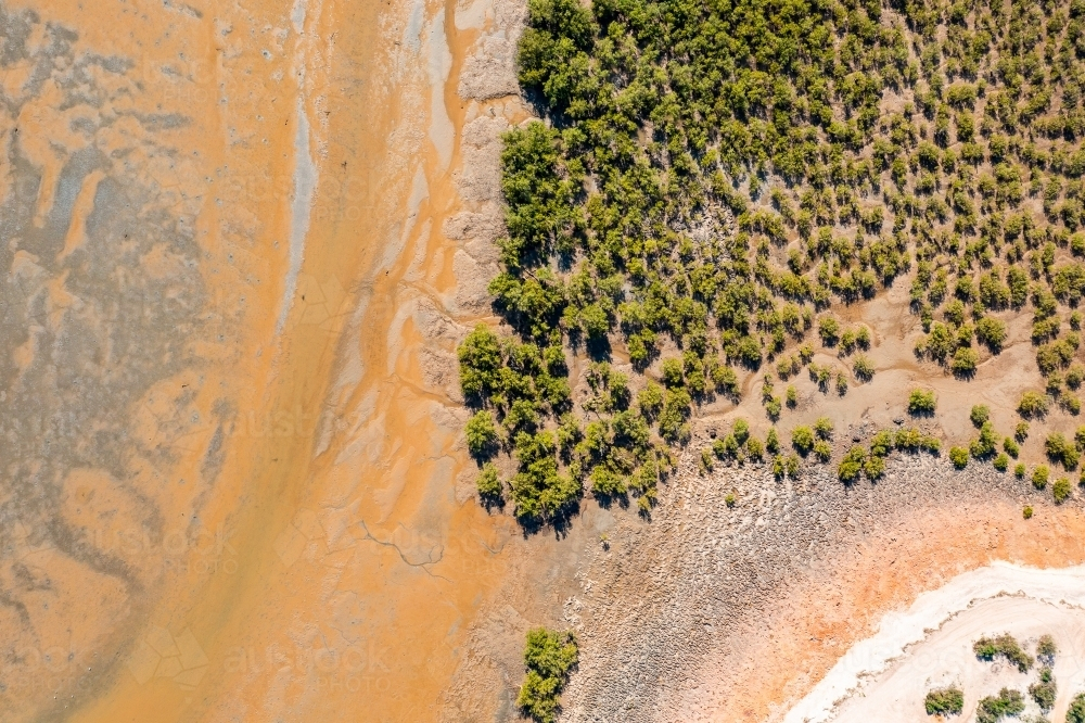 drone photo looking down on mangroves and tidal flat near Karratha in the Pilbara - Australian Stock Image