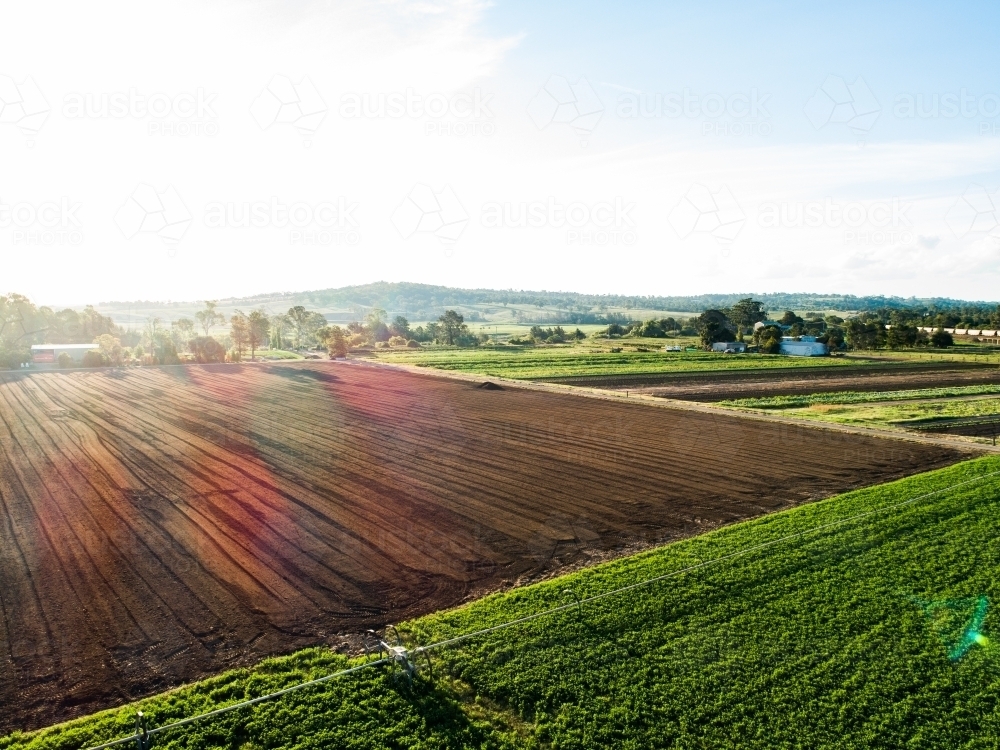 Drone photo of sun flare over farm paddock of lucerne crop - Australian Stock Image