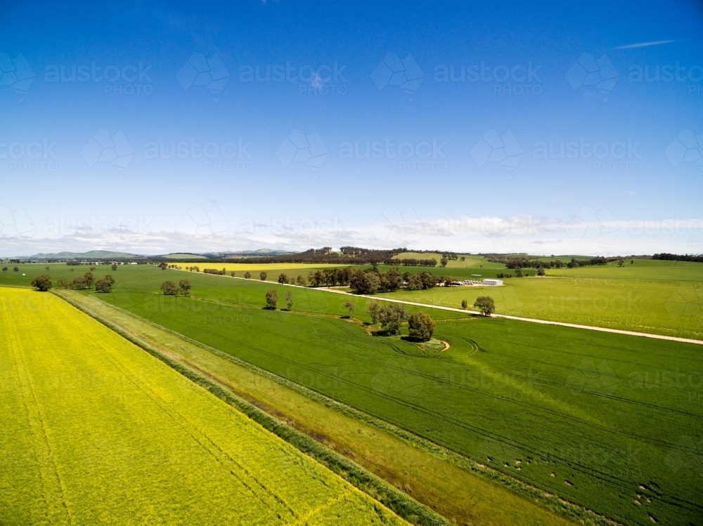 Drone shot of green crops - Australian Stock Image