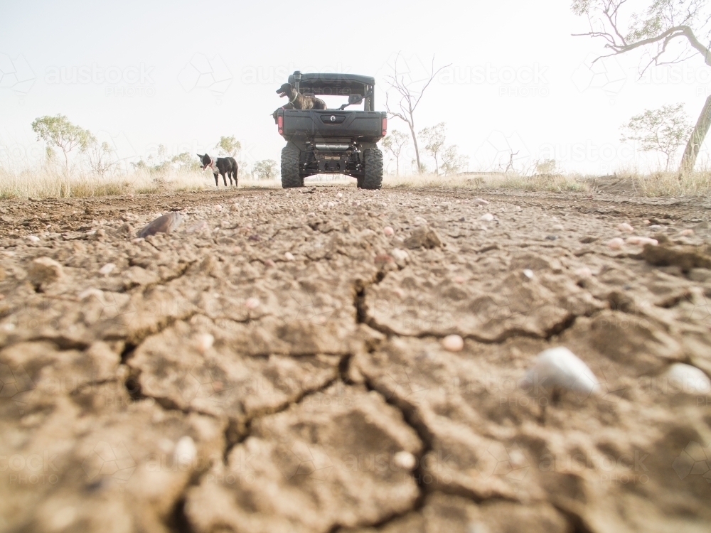 Drought Cracked Ground with Buggy in background - Australian Stock Image