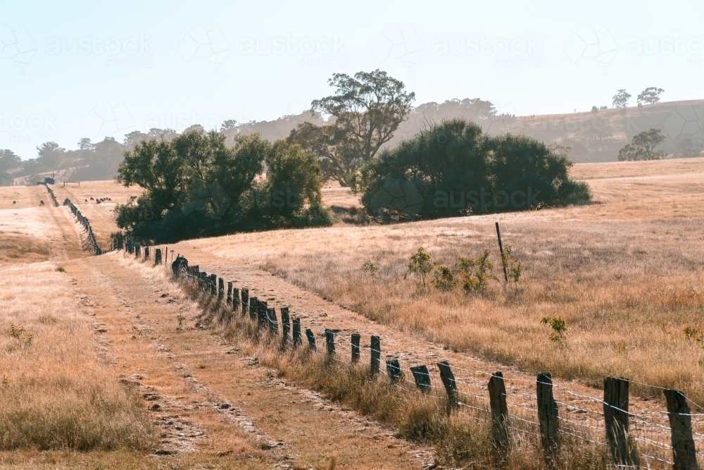 Paddock in drought in rural NSW, Australia. - Australian Stock Image