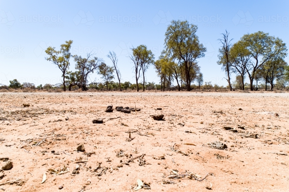 Drought in western Queensland. - Australian Stock Image