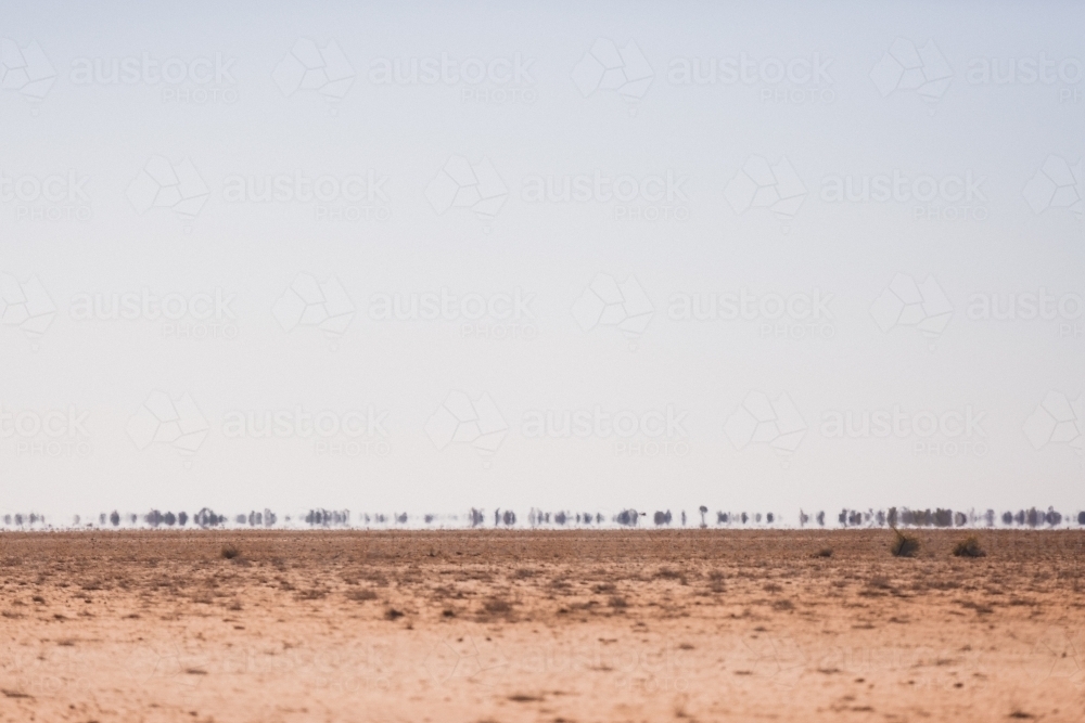 Drought Paddock with a Mirage - Australian Stock Image