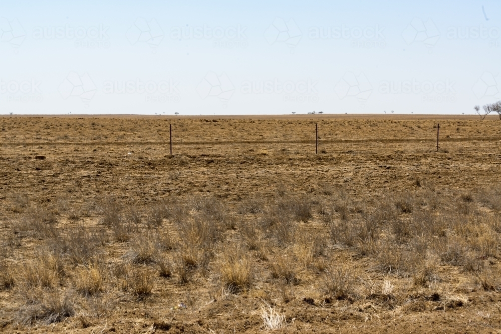 Drought stricken land with fence, dead grasses, bare ground and clear harsh bright sky - Australian Stock Image