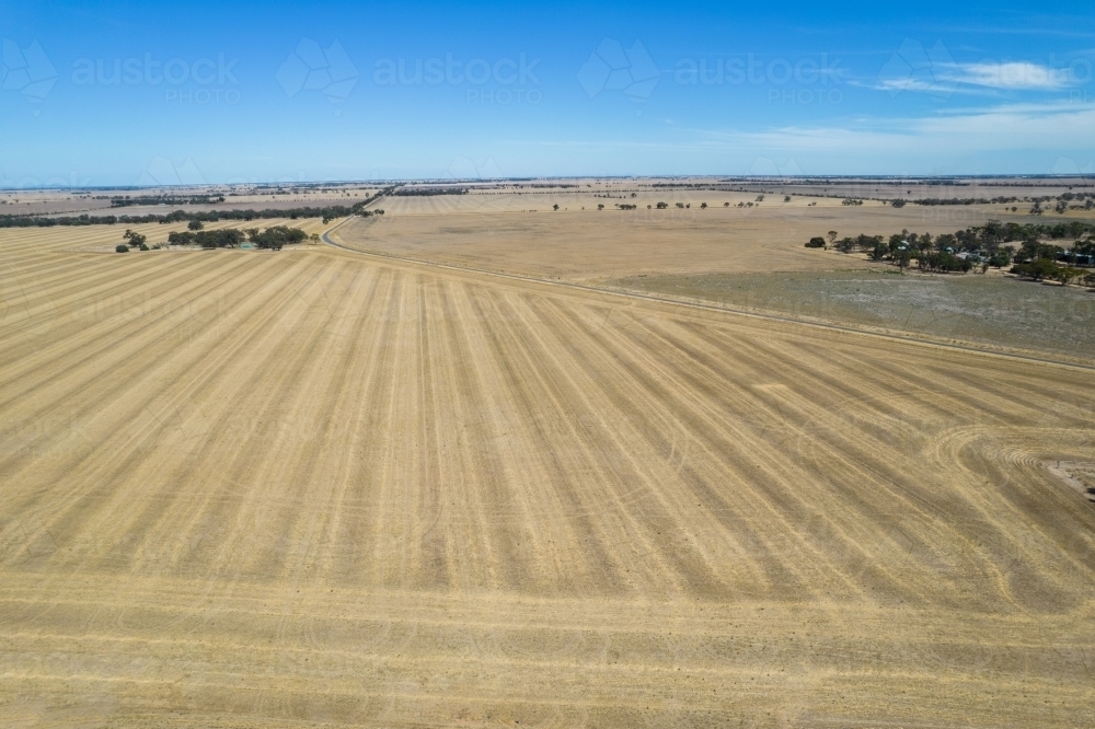Dry brown paddock leading off into the distance in the rural setting of the Mallee. - Australian Stock Image
