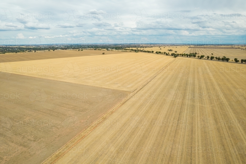 Image of Dry brown paddocks leading off into the distance in the Mallee ...