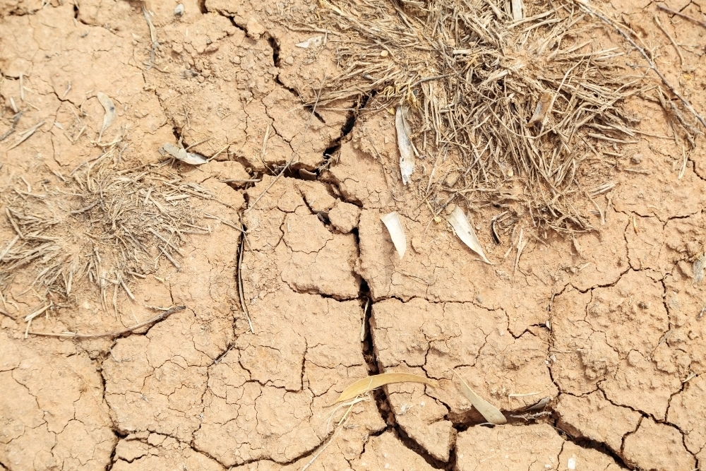 Dry, cracked, and parched earth in drought. - Australian Stock Image