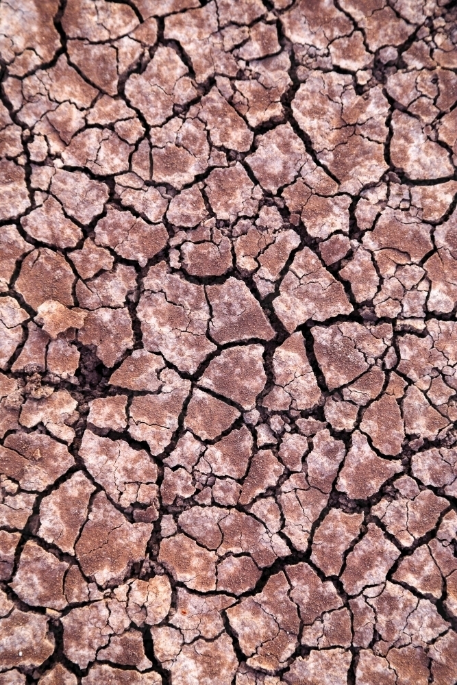 Dry, cracked, desiccated clay due to drought at Breeza on the Liverpool Plains - Australian Stock Image