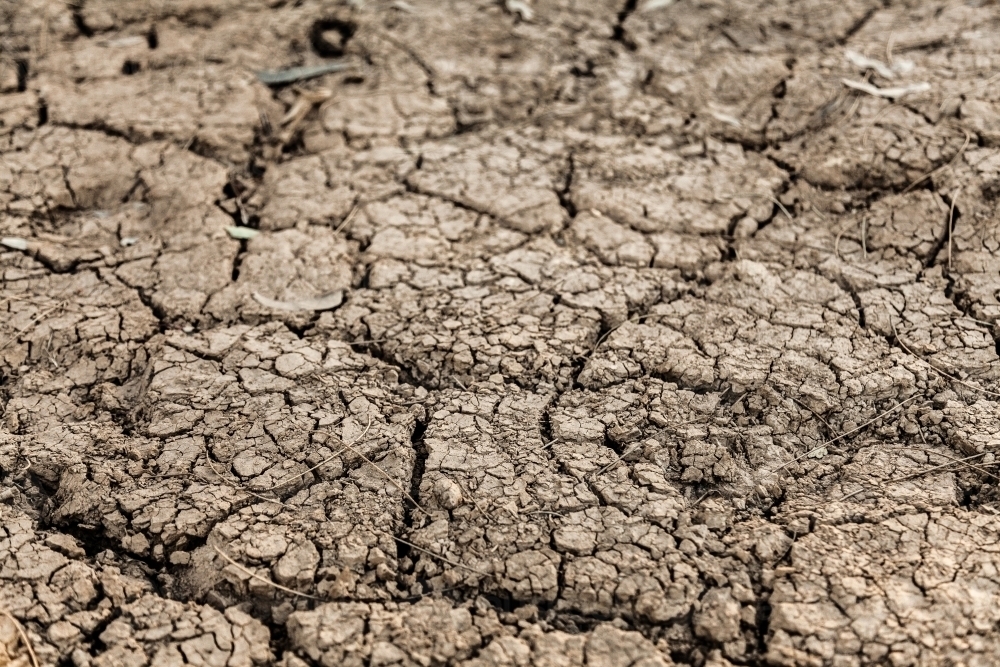 Dry cracked earth and mud in dried up farm dam - Australian Stock Image
