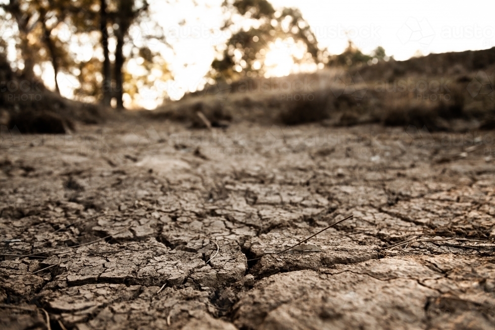 Dry cracked earth and mud in dried up farm dam - Australian Stock Image