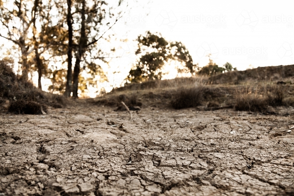 Dry cracked earth and mud in dried up farm dam - Australian Stock Image